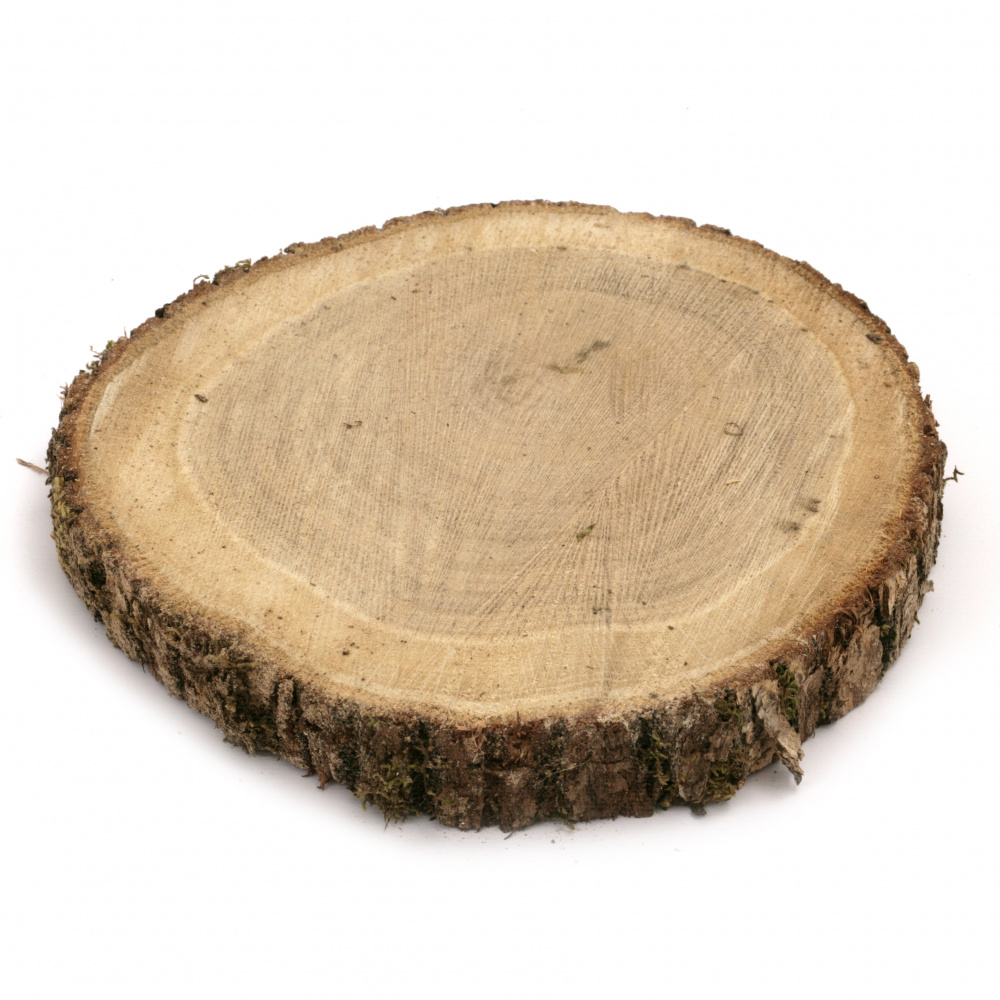Ροδέλα από κορμό ξύλου 220~230x30 mm για διακόσμηση