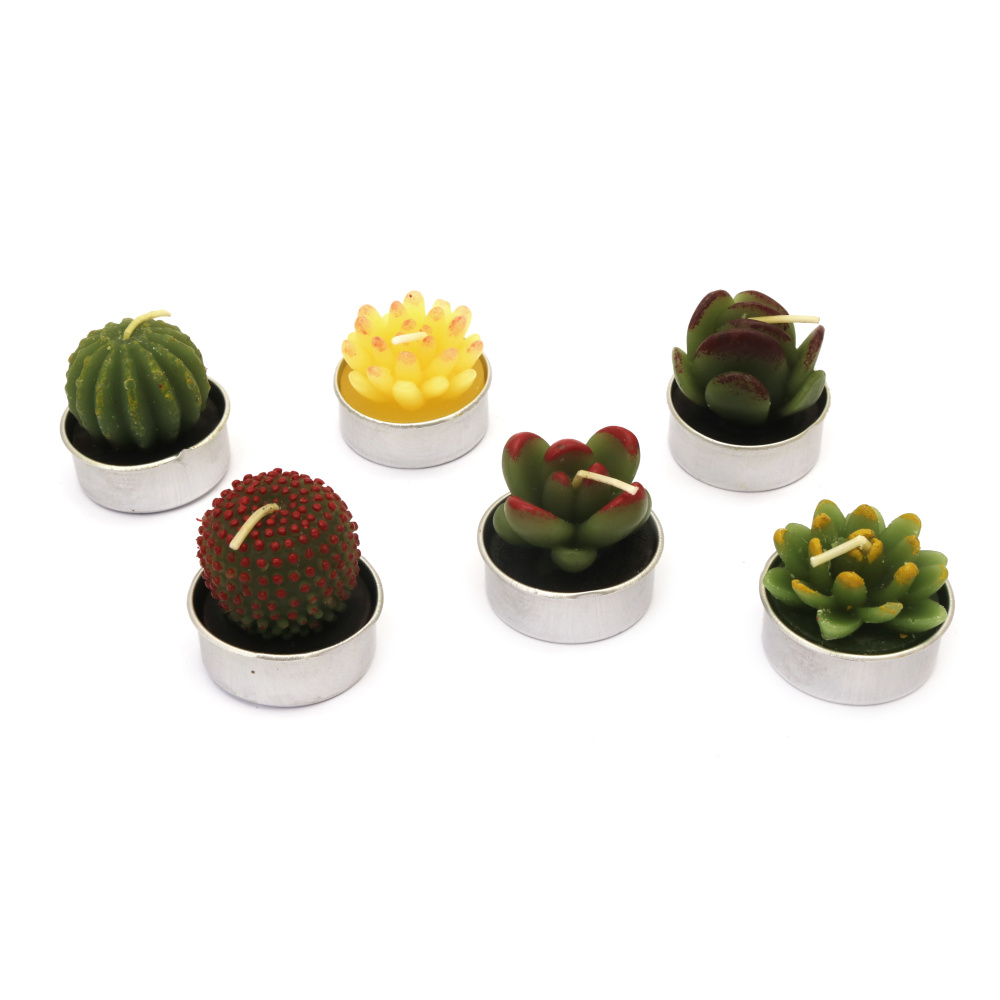 Succulent Cactus Candle, Tealight Candle for Home Decor, Assorted Colors and Shapes - 1 piece