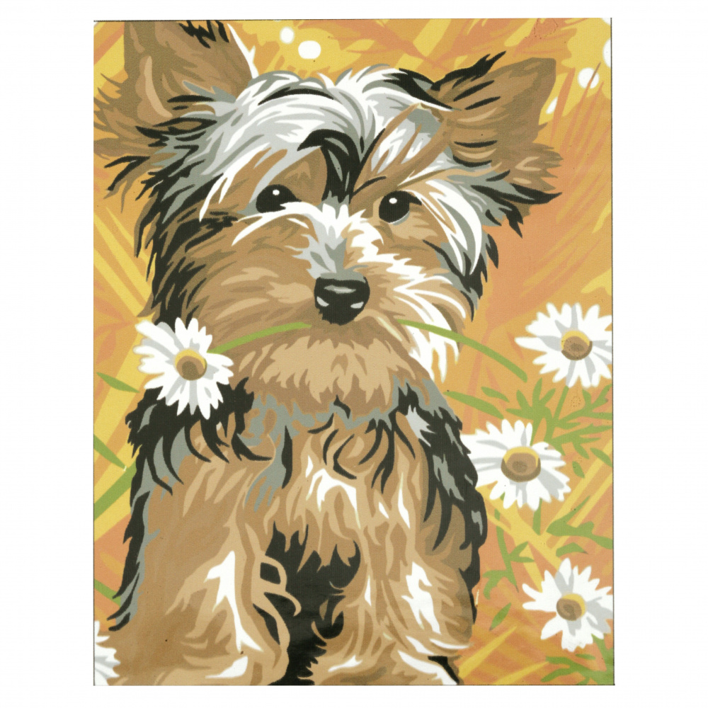 Ζωγραφική με αριθμούς30x40 cm - Yorkies σκύλος  με μαργαρίτες Ms9200