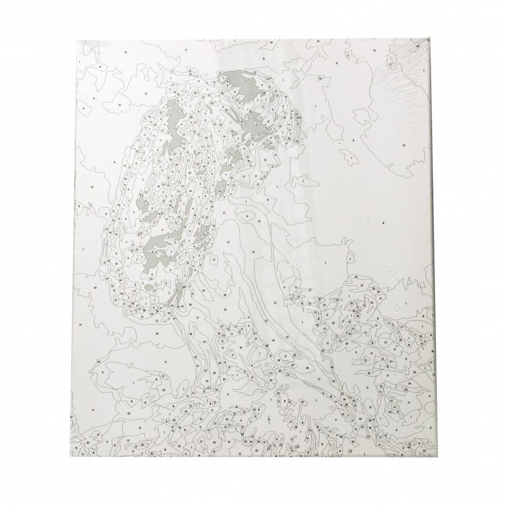 Σετ ζωγραφικής με αριθμούς 40x50 cm -Νιότη σε λευκό Ms8075