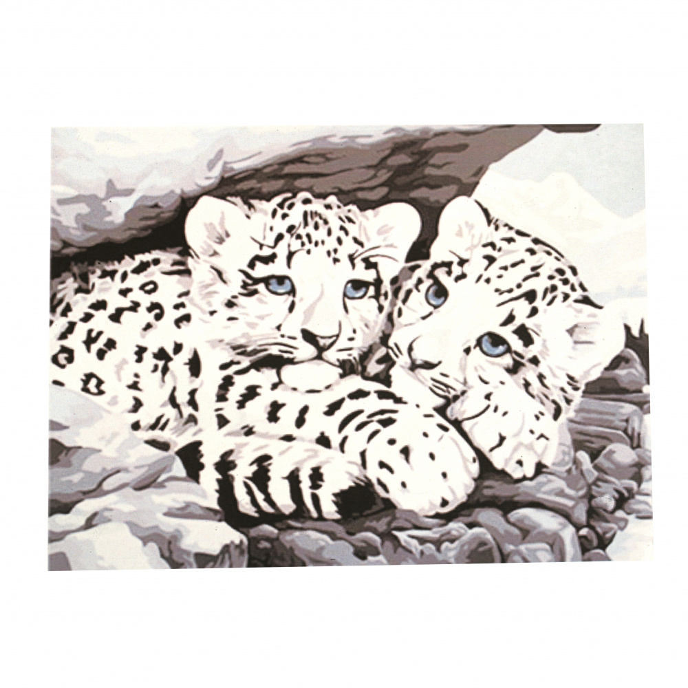 Комплект рисуване по номера 40x50 см -Бели тигърчета Ms8245