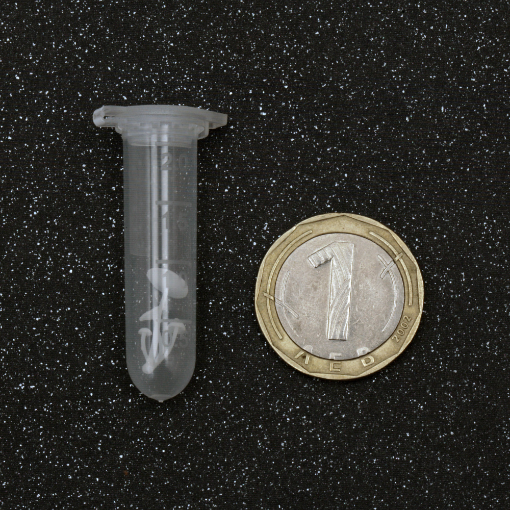 3D Mushroom Figurine / Three-Dimensional Model for Embedding in Epoxy Resin, 13 mm