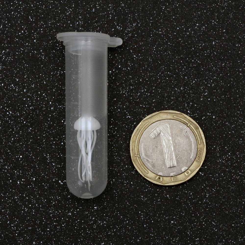 3D Jellyfish Figurine / Three-Dimensional Model for Embedding in Epoxy Resin, 5.22x14.36 mm