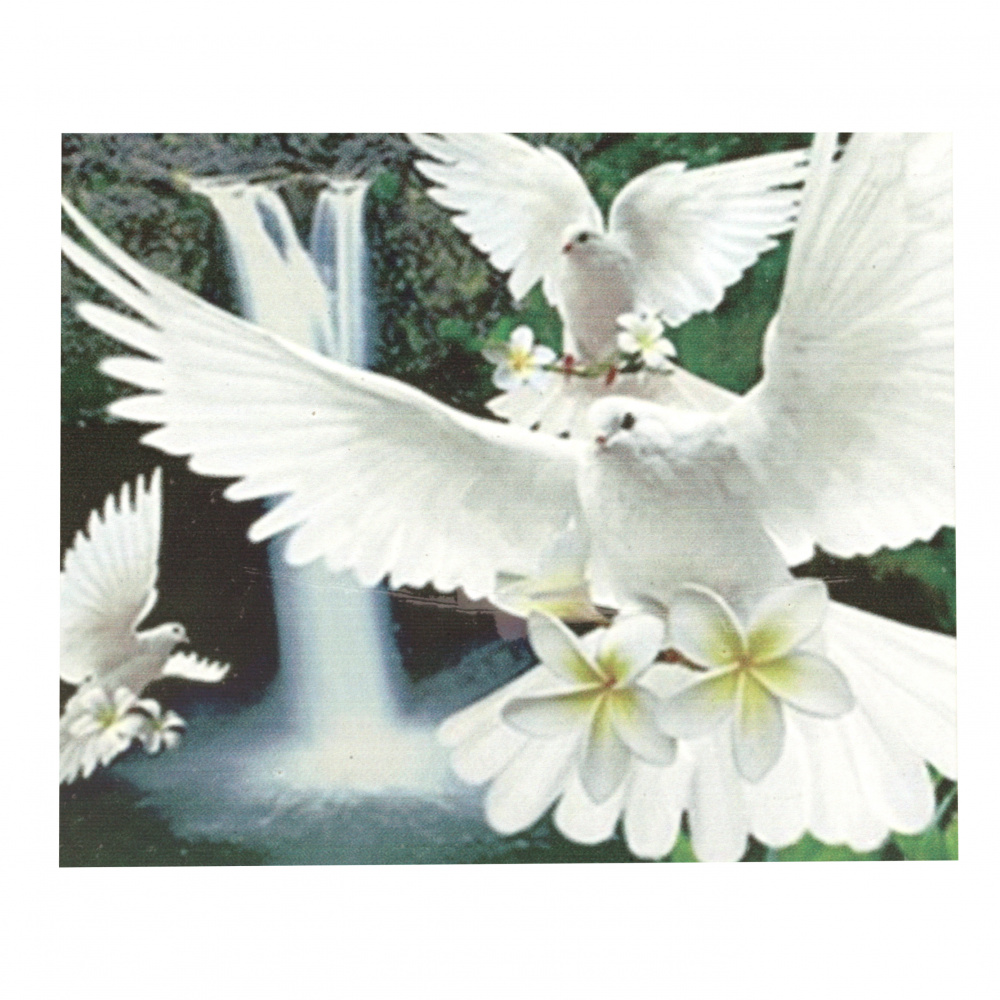 Diamond Painting 40x50 cm with a Frame, Full Drill, Round Diamonds, Home Wall Decor - White Doves YSG0057