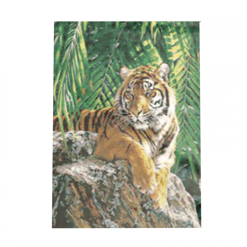 Framed Diamond Painting 50x65 cm, Full Drill Embroidery, Round Crystals, Wall Decor Painting - Tiger YSG0054