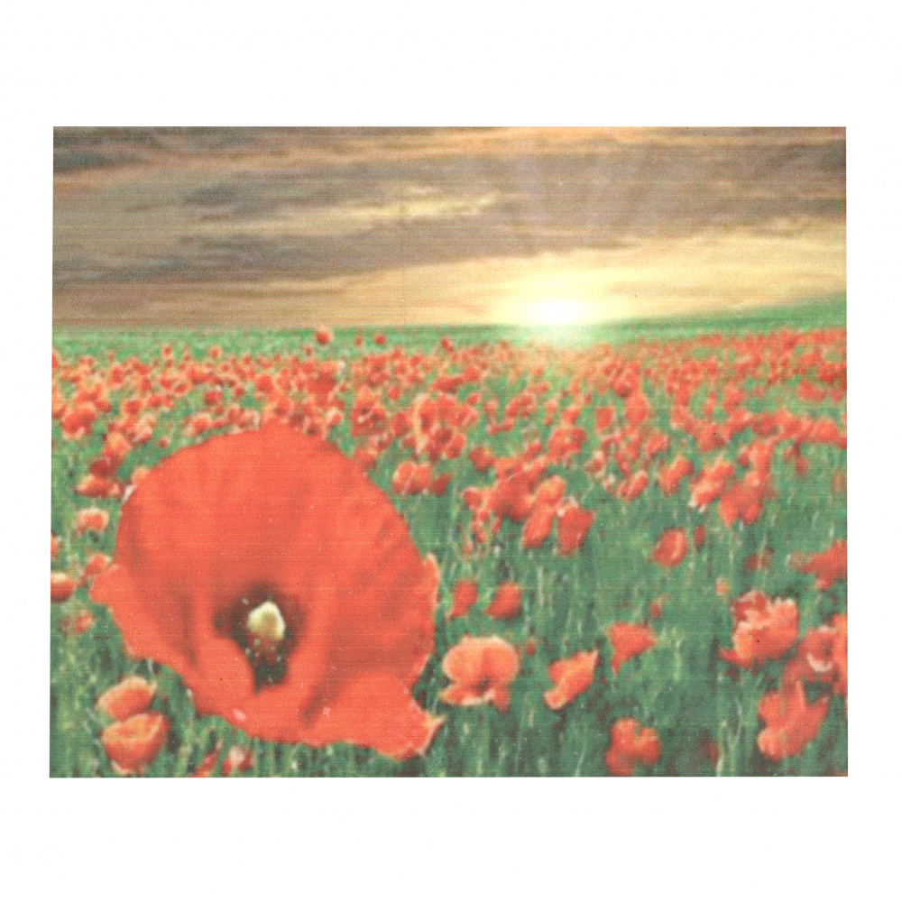 Diamond Painting 50x65 cm with a Frame, Round Diamonds, Full Drill, Home Decoration - Poppy Field YSG0129