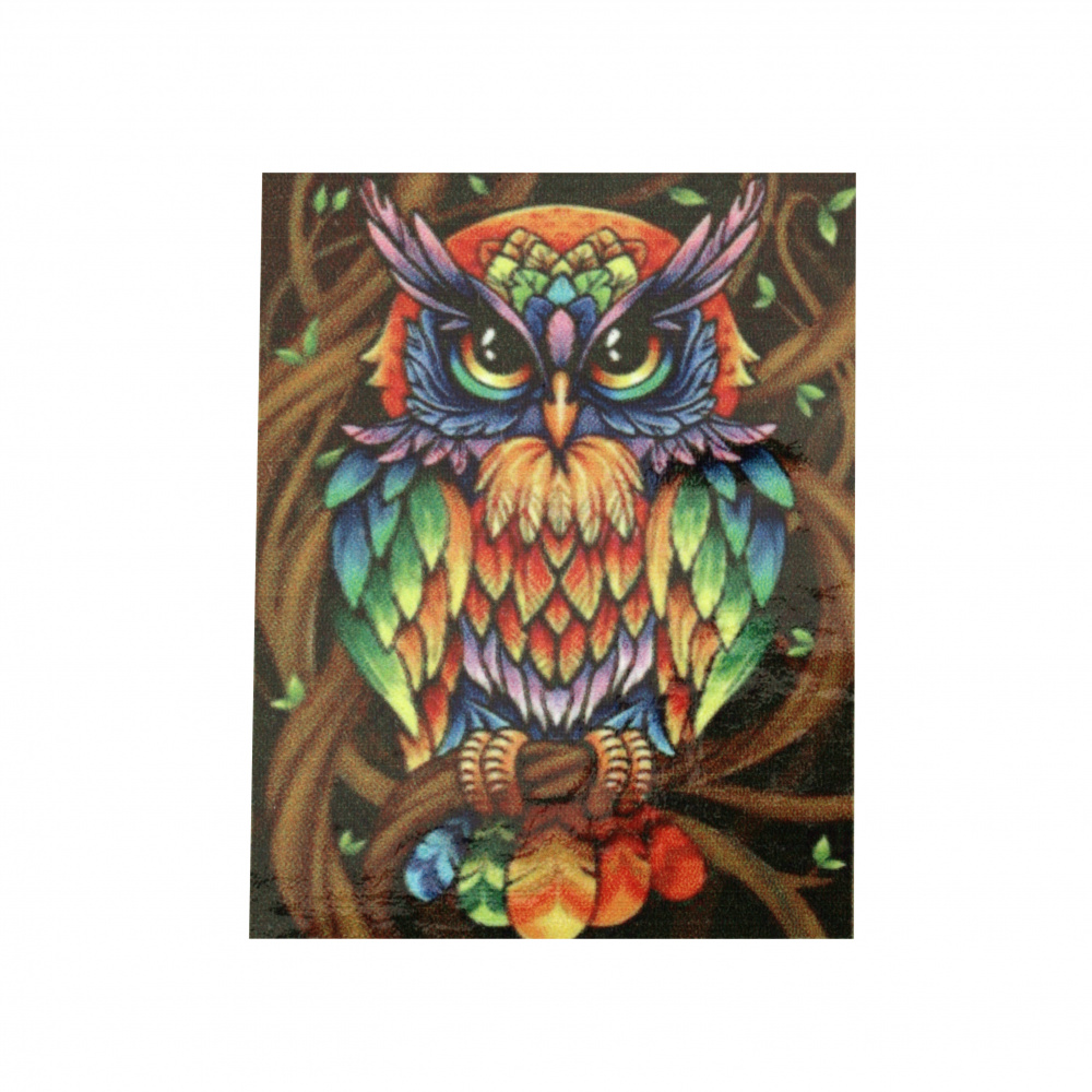 Diamond Painting 30x40 cm with a Frame, Crystal Mosaic Art, Round Diamonds, Full Drill - Colorful Owl YSG1337