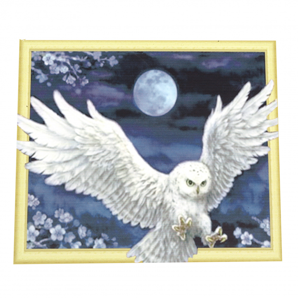 3D Diamond Painting 40x50 cm, Round Crystals, Full Drill with a Frame, Home Decor - White Owl LT0199