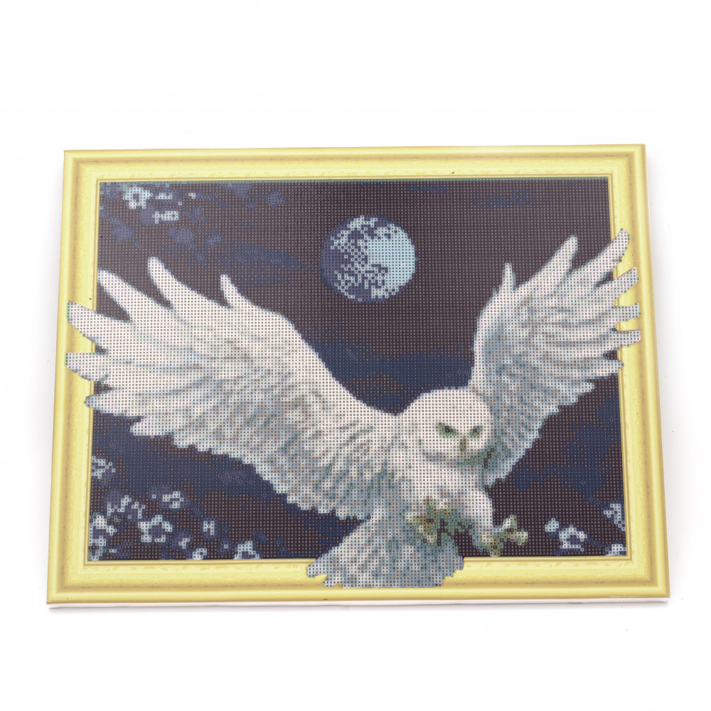 3D Diamond Painting 40x50 cm, Round Crystals, Full Drill with a Frame, Home Decor - White Owl LT0199