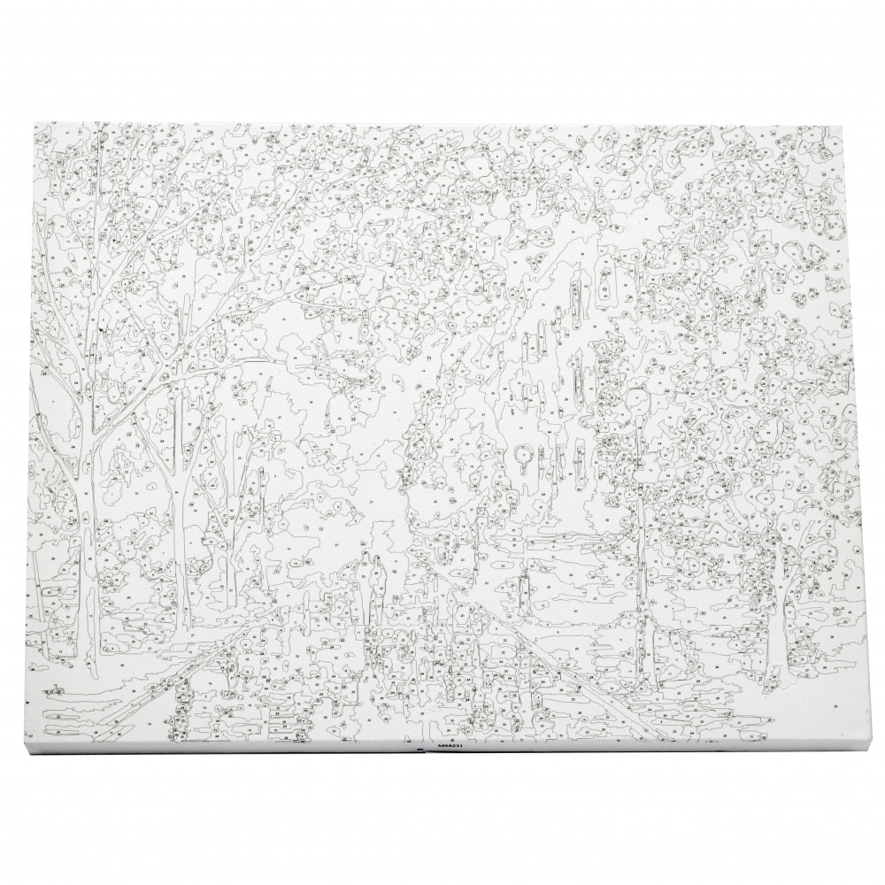 Set tablou cu numere 40x50 cm - Plimbare de noapte Ms8819