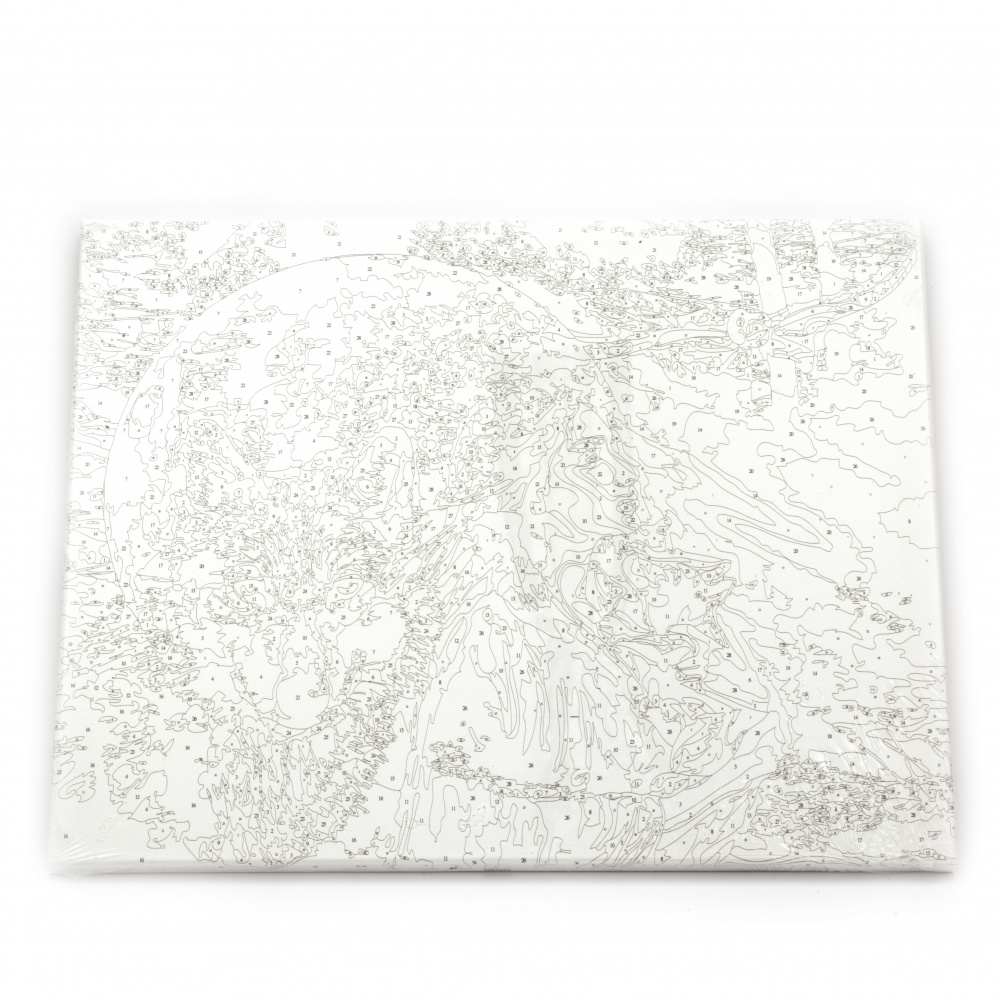 Σετ ζωγραφικής με αριθμούς  40x50 cm - φεγγάρι με λύκο και γυναίκα  Ms7442