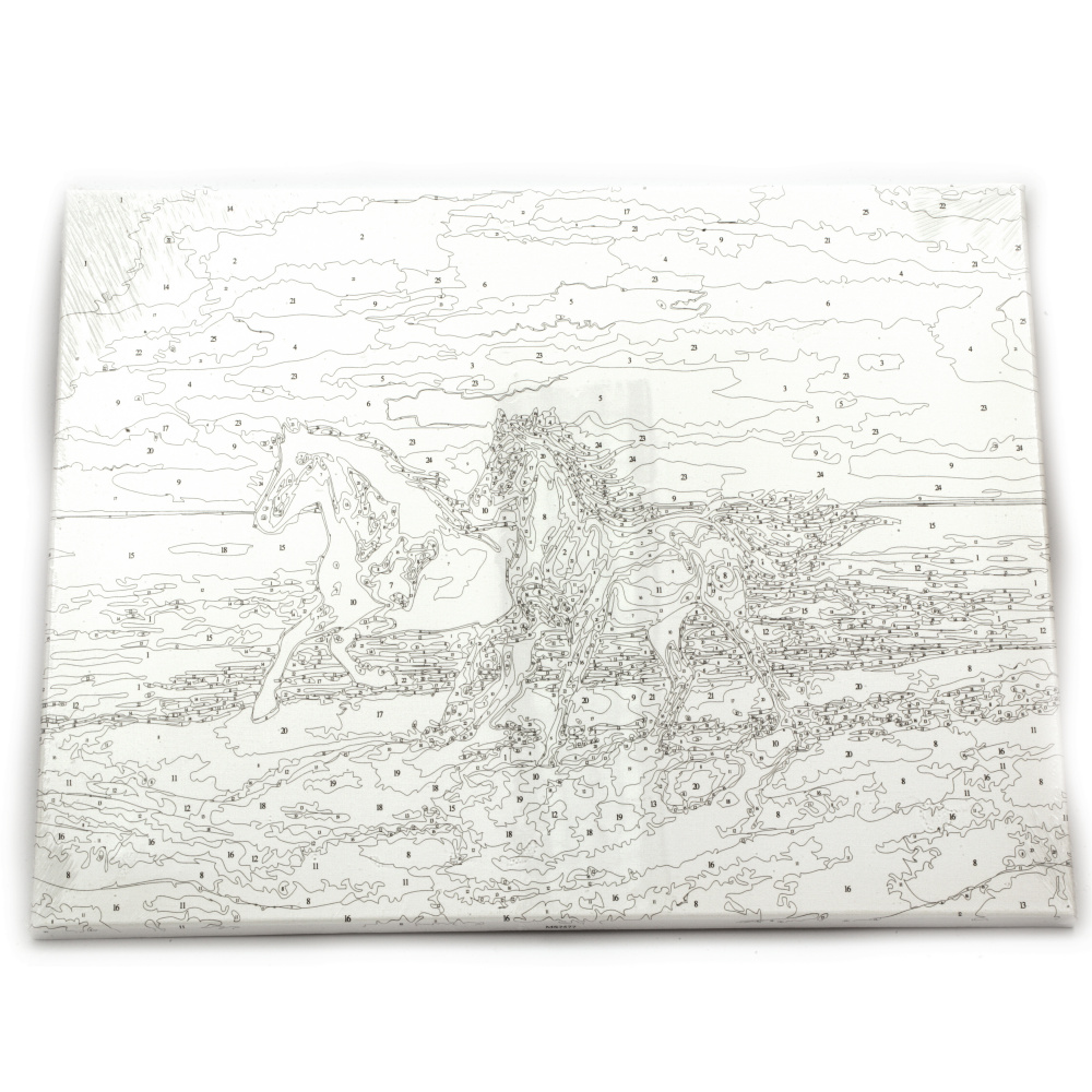 Σετ ζωγραφικής με αριθμούς 40x50 cm - Horses by the shore Ms7577