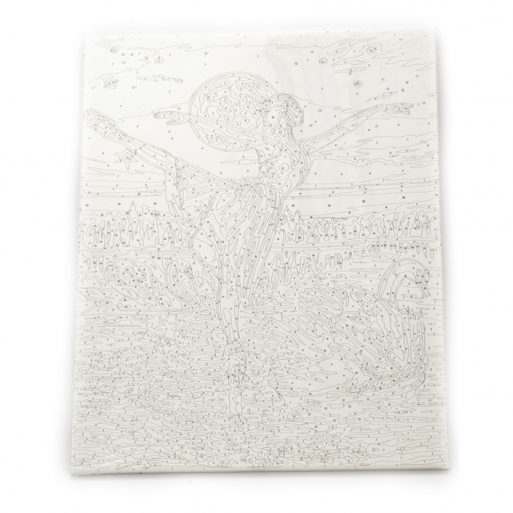 Комплект рисуване по номера 40x50 см - Лебедово езеро Ms9225