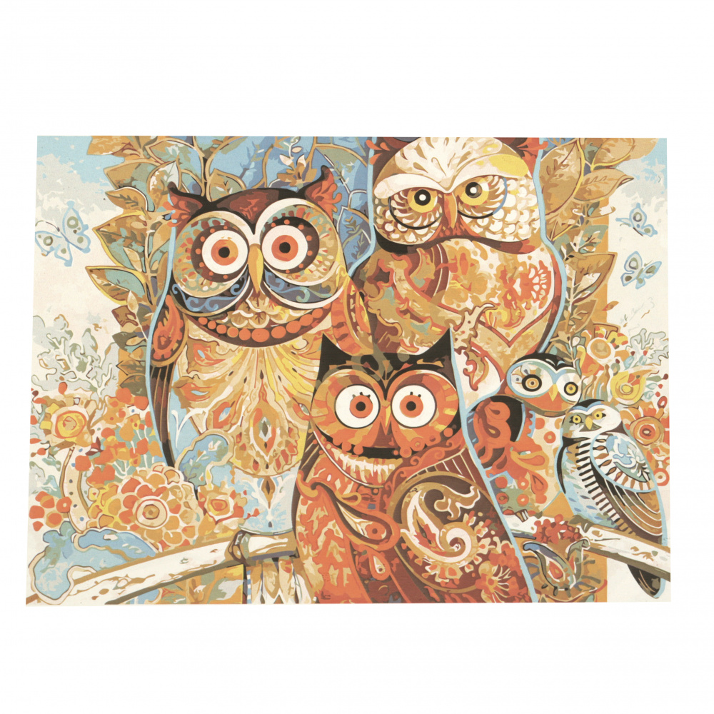 Комплект рисуване по номера 40x50 см - Цветни сови Ms9266