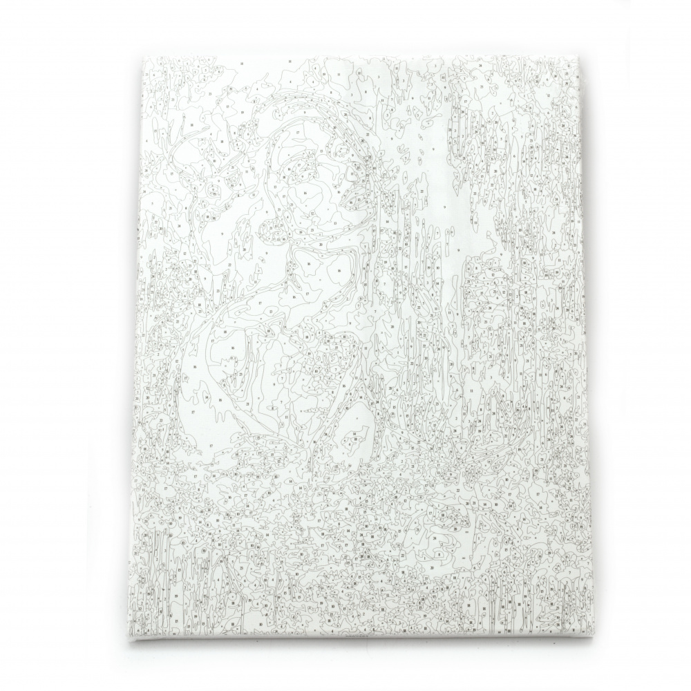 Set tablou dupa numere 30x40 cm - Toaleta femei MS7484