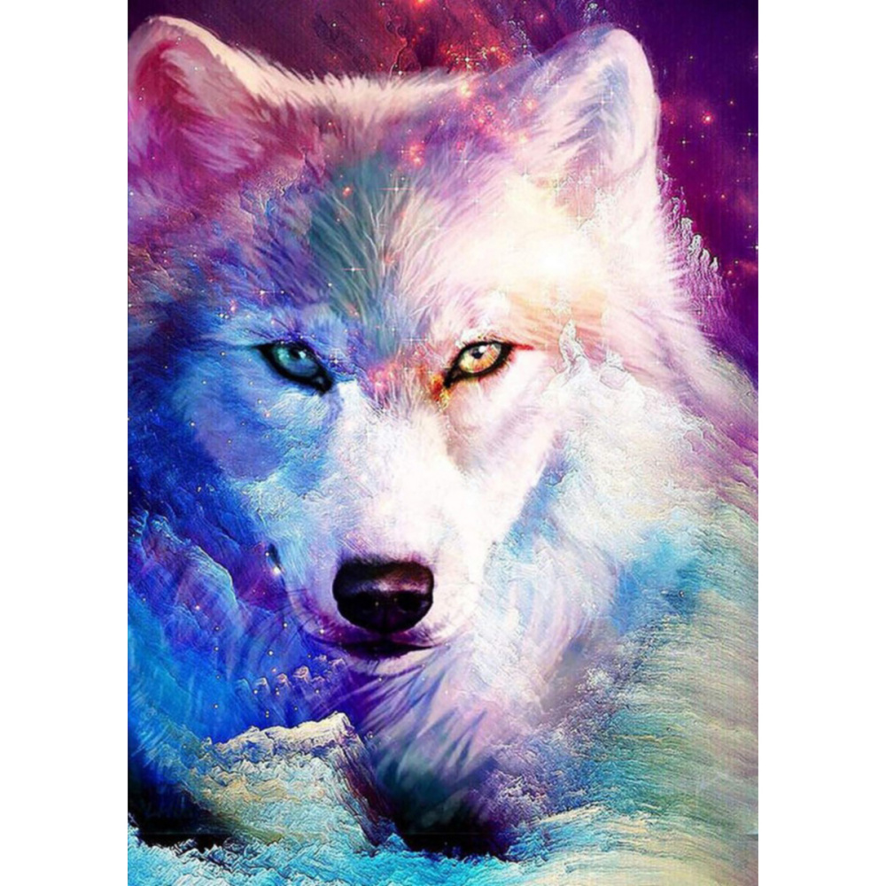 Paint by Number Kit, Wall Decor / 30x40 cm - The Look of the She-wolf, BFB0427