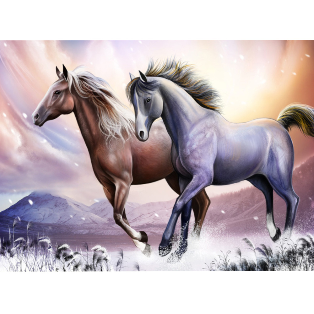 Painting by Numbers, Wall Decor / 40x50 cm - Young Horses,  BFB1234