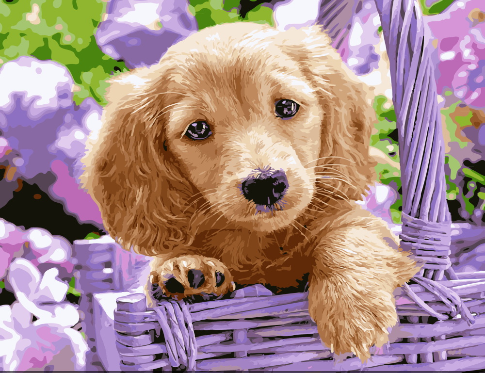 DIY Paint By Numbers Set, Acrylic Painting Kit with Pre-printed Canvas for Beginners, Size: 30x40 cm - Dog In A Basket / 7449