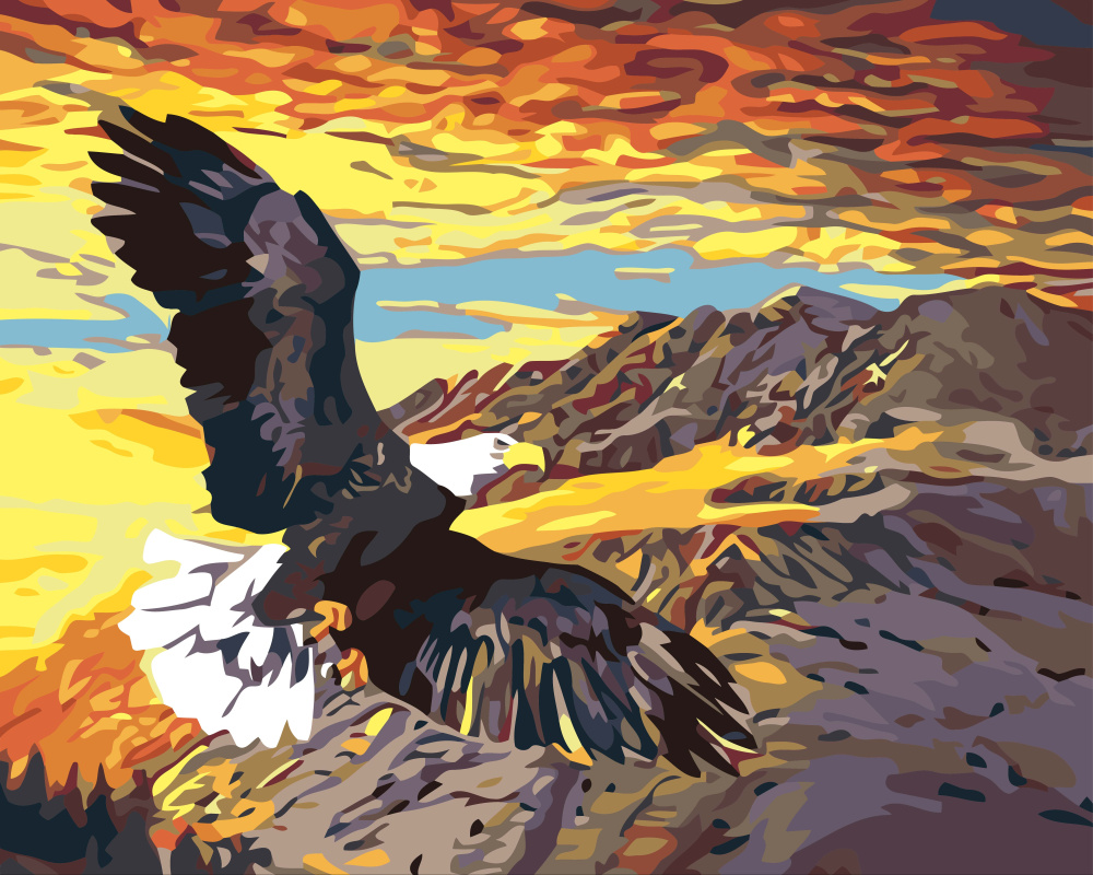 DIY Paint By Numbers Kit, Acrylic Painting for Beginners, Size: 40x50 cm, "Lone Eagle" / BFB0093