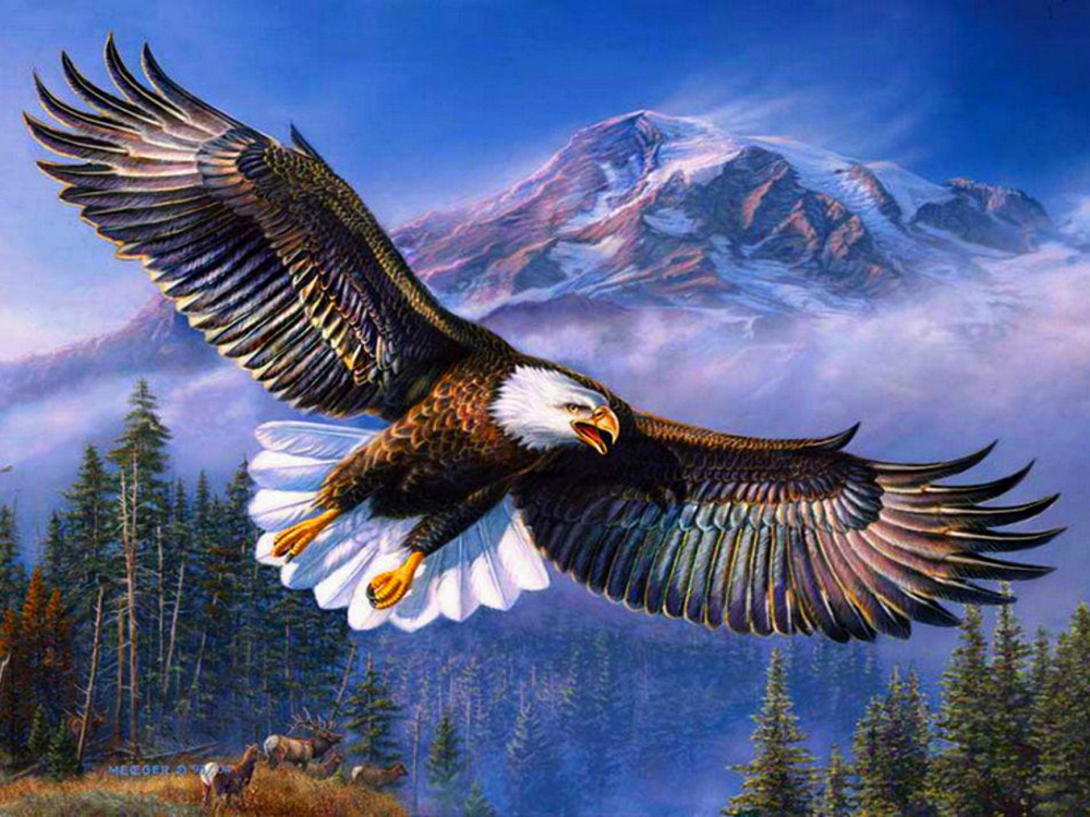 Flying Eagle Diamond Painting Kit for Adults and Teens, 40x50cm, Round Diamonds, Full Drill with Frame - Top View YSG3969