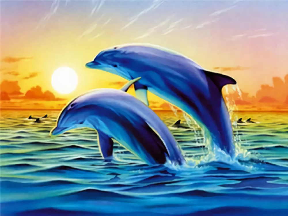 Paint by Numbers Kit 30x40 cm - Sunrise with Dolphins BFB0237