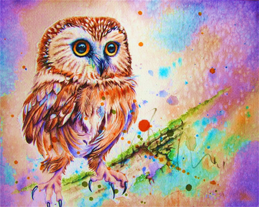 Paint by Numbers Kit 40x50 cm - The Owl's Gaze BFB0640