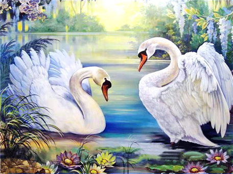 Diamond Tapestry, 30x40cm, Round Diamonds, fully framed - Swan Lake YSG1522