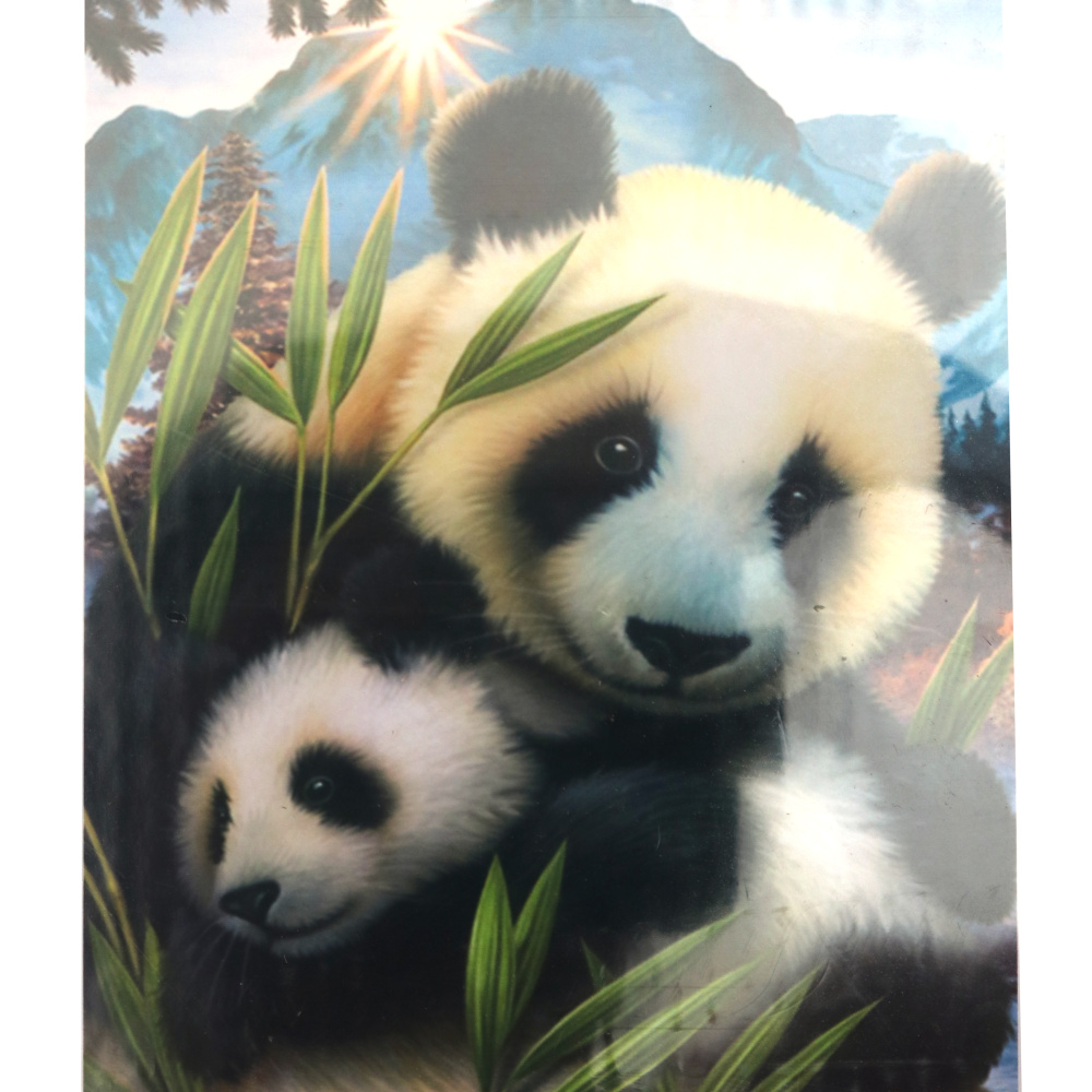 Tapiserie cu diamante 40x50cm cu diamante rotunde cu cadru - Panda cu micuța ei GLE70910