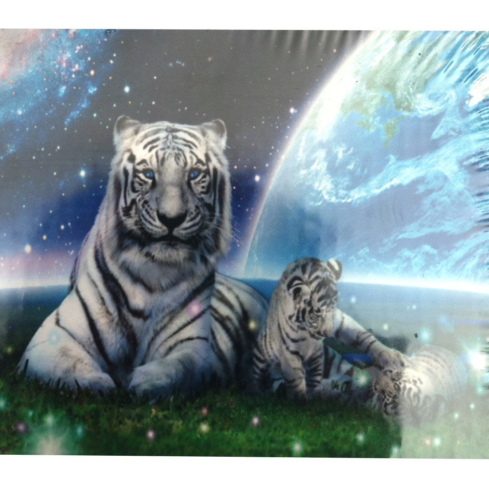 Tapiserie cu diamante 40x50cm cu diamante rotunde cu cadru - Space Tigers GLE71518