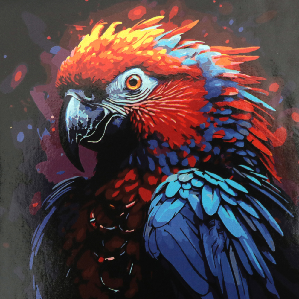 Parrot Paint by Numbers Set 30x30 cm on Black Background – Perfect for Colorful Art and Nature Lovers HWC0029