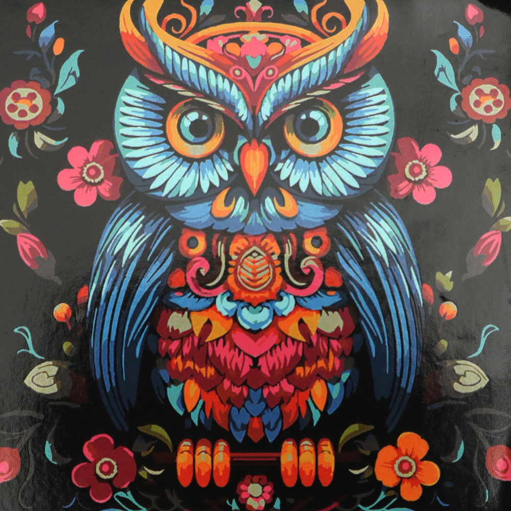 Set de Pictură pe Numere Mistic 30x30 cm, pe Fundal Negru – „Bufniță” HWC0001