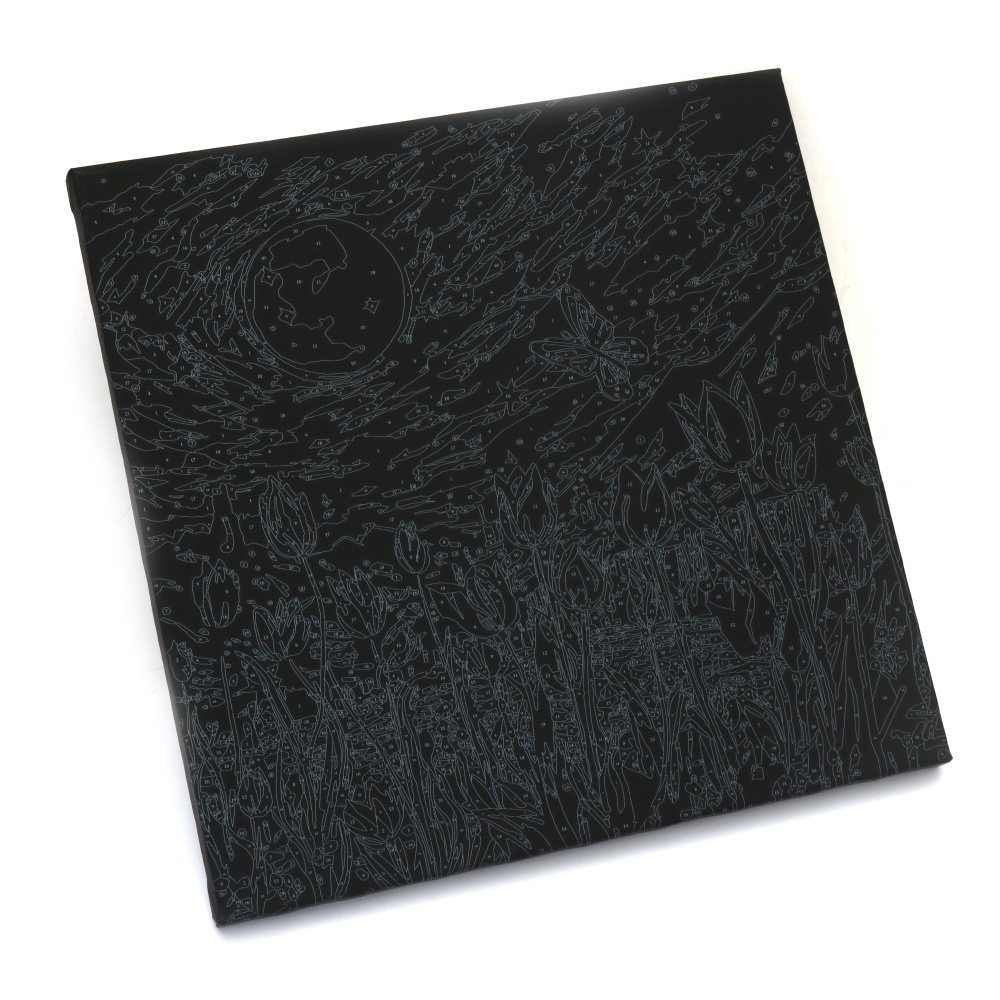 Set de Pictură pe Numere Mistic 30x30 cm, pe Fundal Negru – „Bufniță” HWC0001