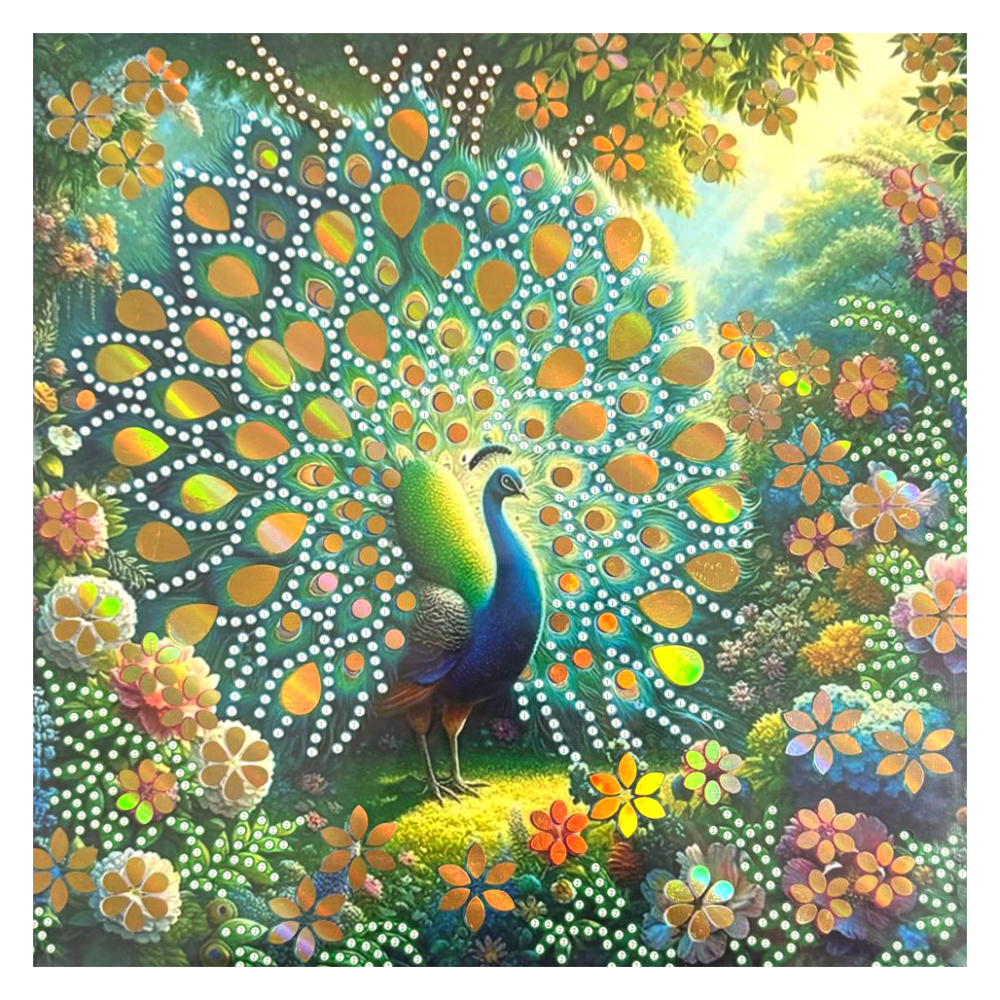 Tapiserie cu diamante 30x30 cm, diamante rotunde, lipite parțial, cu ramă - Penaj magic LT-3530