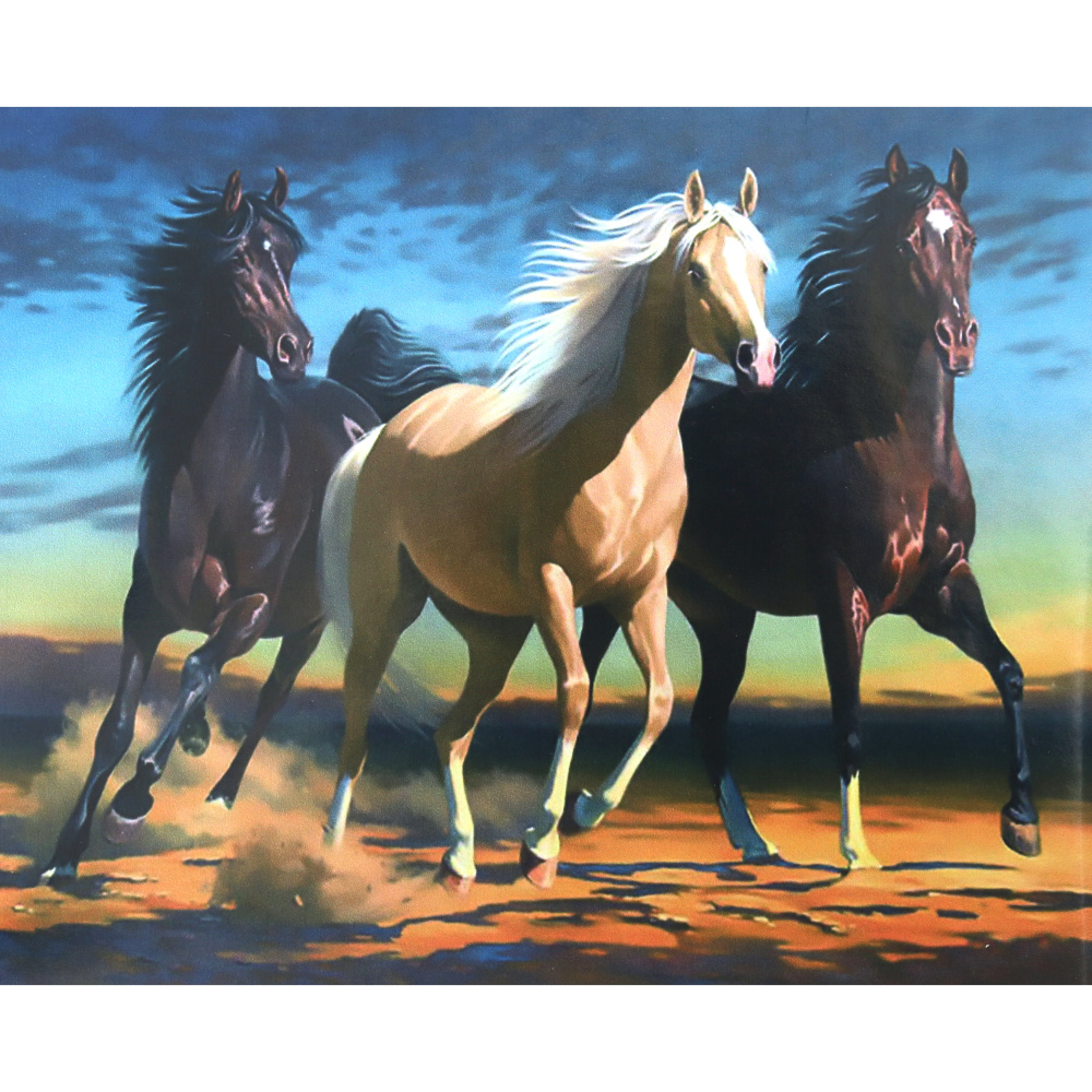 Комплект рисуване по номера 30x40 см -Коне в надпревара - KTL3431