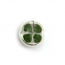 Bead blank for pendant glass with built-in natural clover 20x15 mm mix