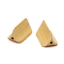 Natural Unfinished Wooden Bead for DIY Jewelry and Crafts 38x18 mm, hole 3 mm color wood - 2 pieces