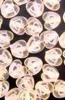 Margele  forma inima de 7 mm transparentă cu alb -50 de grame