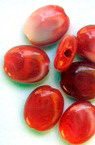 Cilindru oval plat 13x10x5 mm perlă roșie -50 grame
