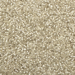 Γυάλινες χάντρες seed 2 mm ασημένια βασή -50 γραμμάρια