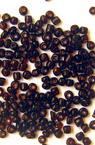 Γυάλινες χάντρες seed 2 mm διάφανο καφέ με μαύρη βάση -50 γραμμάρια