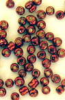 Margele de sticlă 3 mm pictat roșu -50 grame