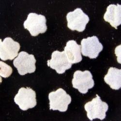 Floare cu puf 9 mm alb -50 grame