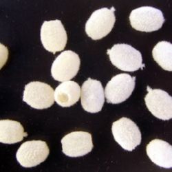 Cilindru cu puf 10x7 mm alb -50 grame
