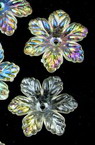 Plastic Flower Bead, Crystal Imitation, 19x5 mm, Hole: 1 mm, Transparent RAINBOW -20 grams ~ 36 pieces