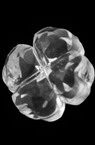 Χάντρα απομίμηση  Κρύσταλλο τριφύλλι12x11x6 mm τρύπα 1 mm διαφανές -50 γραμμάρια ~ 85 τεμάχια