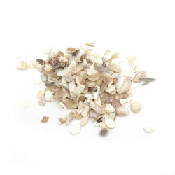 NATURAL Seashells Chips, 1 ~ 16x1 ~ 5x0.5 ~ 5mm, MIX - 50 grams