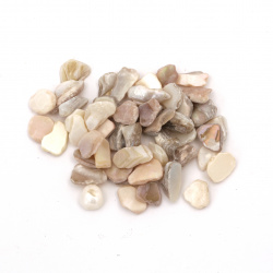Natural Seashells Chips for Decoration, 6 ~ 13x4 ~ 9x0.1 ~ 6 mm, MIX - 50 grams
