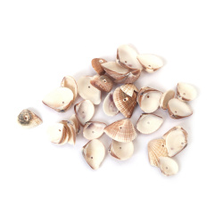 Морски раковини (мида) 14~21x11~15x4~6 мм дупка 2 мм -50 грама ~85 броя