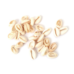 Морски раковини 12~14x19~22x7~9 мм -50 грама ~35 броя