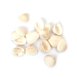 Морски раковини (мида) 19~25x14~19x5~8 мм дупка 1.5 мм цвят бял -50 грама ~45 броя